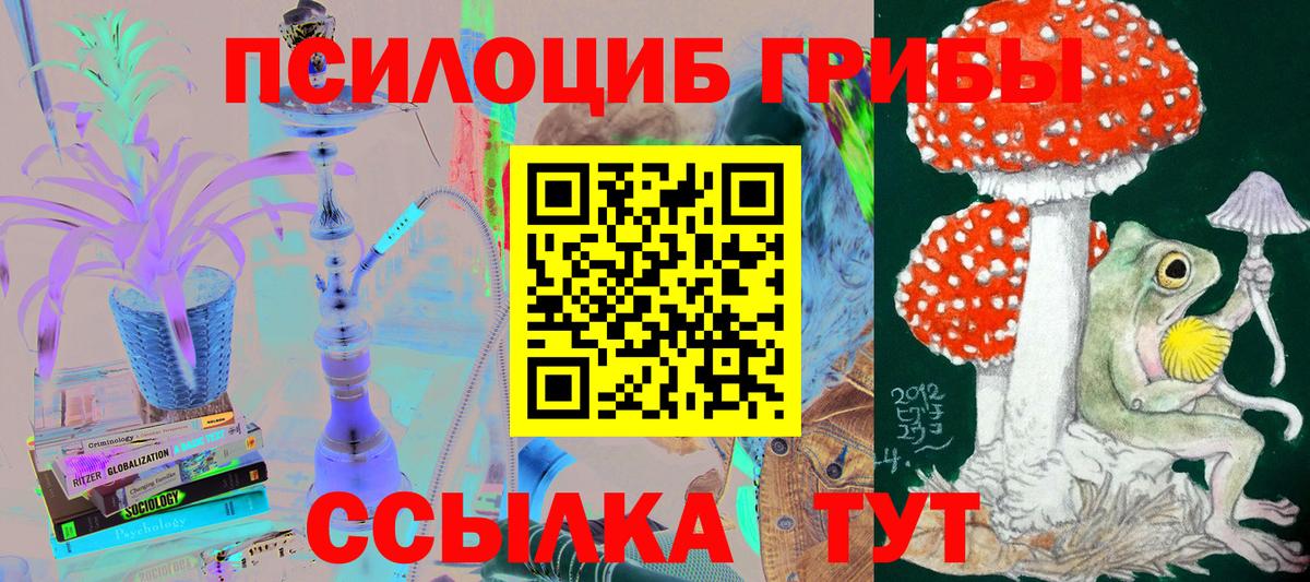 Славянск-на-Кубани  Псилоцибиновые грибы мицелий  Галлюциногенные грибы мицелий  Вход с VPN 